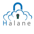 Halane Consultancy and Training Center